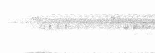 Чёрно-белый личинкоед-свистун (minor) - ML509558671
