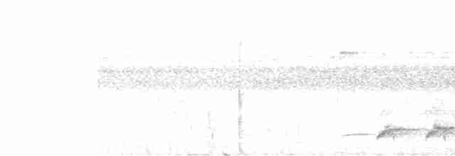 holub pásochvostý - ML509559631