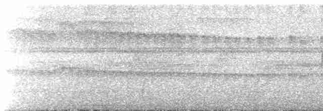 Gray-headed Spinetail - ML509559641