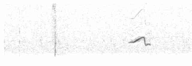 Crested Lark (Maghreb) - ML509563601