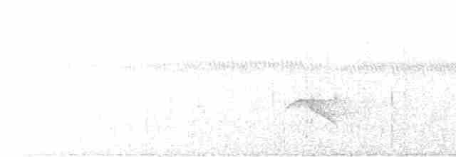 Белокрылый цикадник - ML509568201