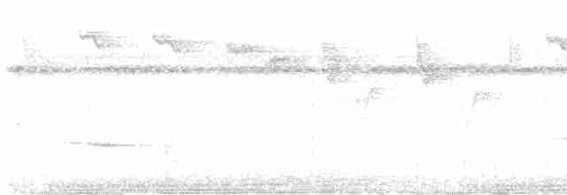 svartbrystlarveeter - ML509575941