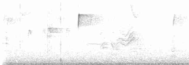 hýl rudoprsý [skupina mexicanus] - ML509577521