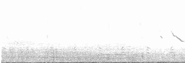 Magellanic Snipe - ML509632491