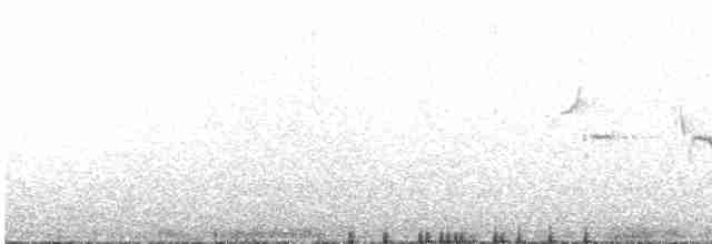 Патагонский овсяночник - ML509642201