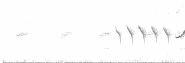 Tropical Gnatcatcher (atricapilla) - ML509686561