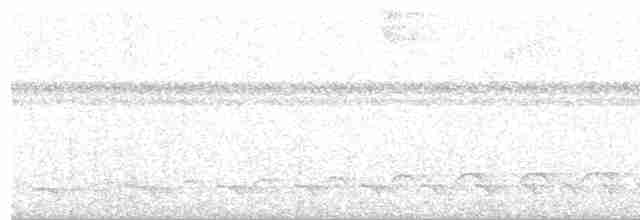 Желтоклювая якамара - ML509748081