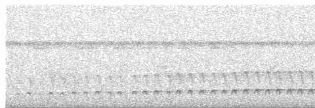 Серый тиранн-плакса - ML509748271
