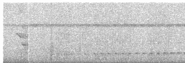 Серый тиранн-плакса - ML509748281
