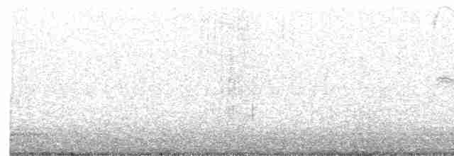 Large-billed Tern - ML509930641