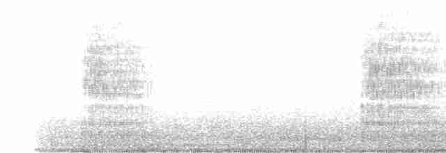 Great Egret - ML510072701