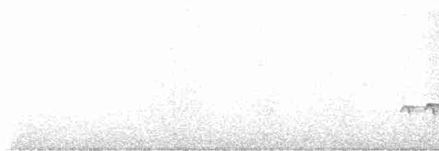 Batılı Alevli Karıncakuşu - ML510086161