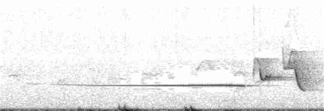 Brownish-flanked Bush Warbler - ML51009551