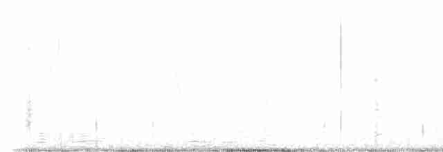 Carpintero de Gila - ML510108941