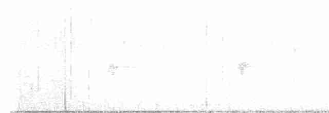 strakapoud proužkohřbetý - ML510109141