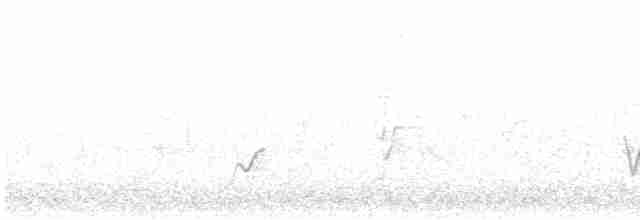 Rufous Whistler - ML510154421