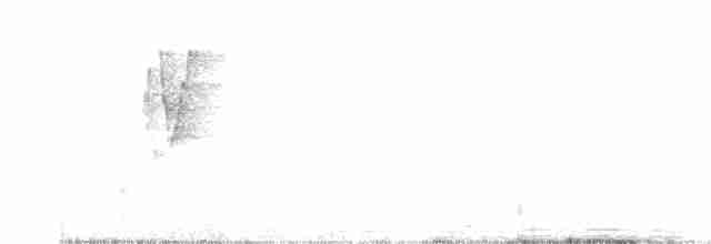 Greenish Warbler - ML510233711