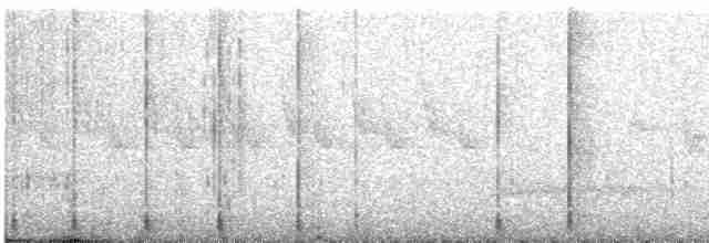 Горіхівка крапчаста - ML510236071