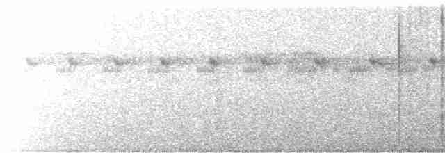 rustbrystløvvender (scansor) - ML510249941