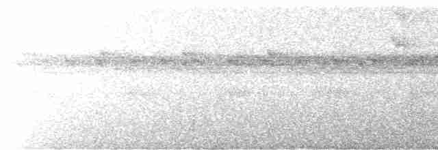 rustbrystløvvender (scansor) - ML510249961