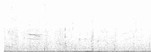 lesníček žlutoprsý - ML510272961