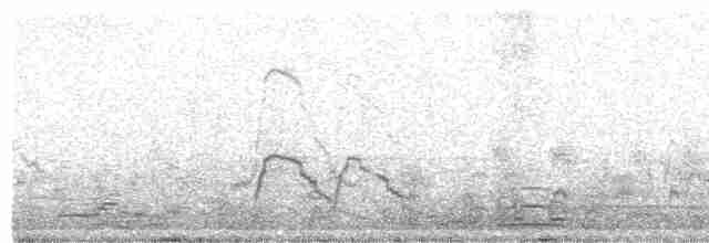 Canard siffleur - ML510289241