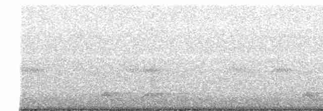 Freckled Nightjar - ML510299671