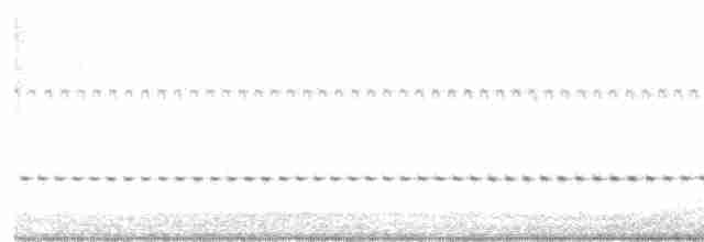 Benekli Notura Tinamusu - ML510323201