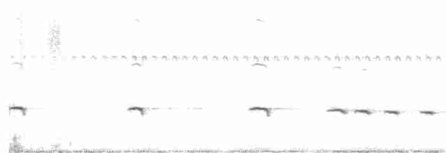 Benekli Notura Tinamusu - ML510323211