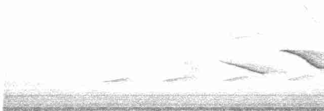 Striped Cuckoo - ML510323301