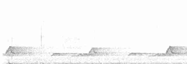 Schwarzkehl-Nachtschwalbe - ML510342891