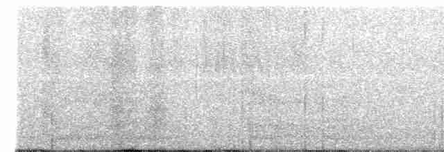 Miombo Wren-Warbler - ML510357841