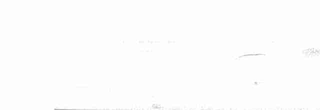 Tinamou à gorge blanche - ML510366251