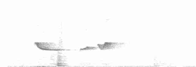 ミドリツグミマイコドリ - ML510397571