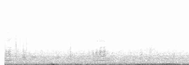 Branta musubeltza (hrota) - ML510406891