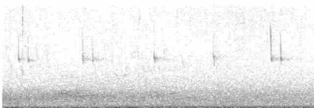 Beyaz Gerdanlı Dalkoşarı - ML510411261