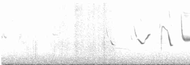 Long-tailed Meadowlark - ML510411611