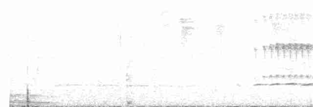 Ak Kaşlı Kakancık - ML51045911