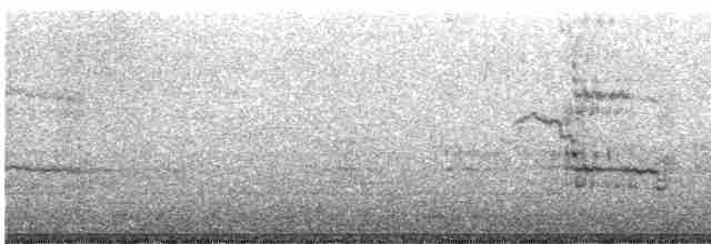 Kuzey Gümüş Martısı - ML510471381
