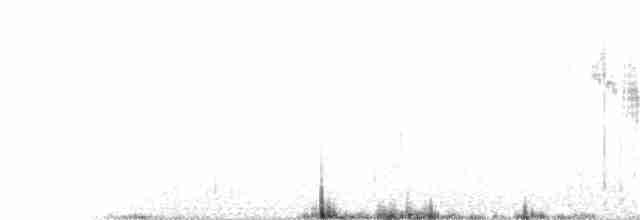 ub. piplerke (Anthus sp.) - ML51047581