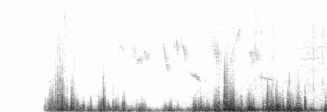 ub. piplerke (Anthus sp.) - ML51047711
