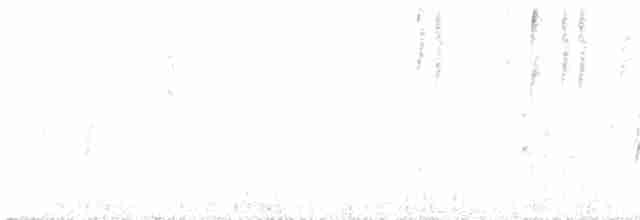 Black-eared Hemispingus - ML510482511
