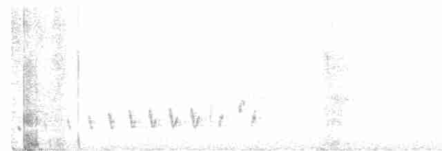Buff-collared Nightjar - ML510507501