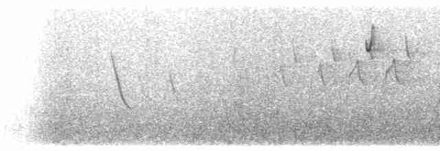 Batı Amerika Sinekkapanı (occidentalis/hellmayri) - ML510508321