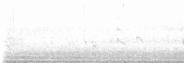 ארנריה אדמונית - ML510534401