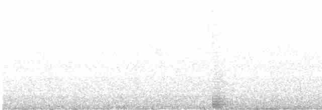 Кульон аляскинський - ML510534801