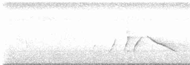 White-eared Sibia - ML510541711