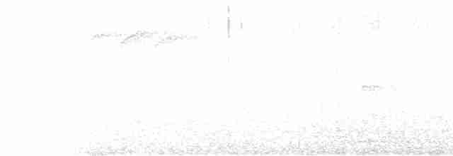 Kestane Karınlı Baştankara - ML510608811