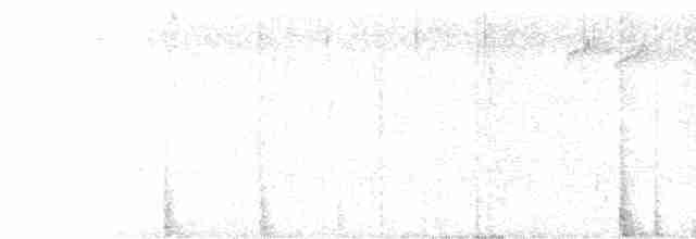 Kestane Karınlı Baştankara - ML510609121