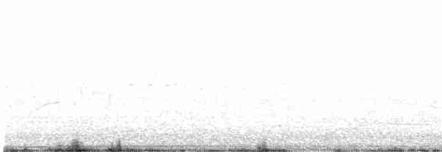 Schwarzkehl-Nachtschwalbe - ML510673511
